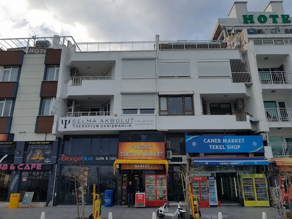 Selma Akbulut Therapium Psikolojik Danışmanlık Merkezi - SATED PSİKOLOJİ — Psikologlar, Konyaaltı · fotoğraf 2