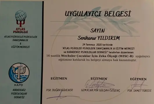 Psk. Senihanur Yıldırım, Psikoloji — Psikologlar, Arhavi · fotoğraf 3