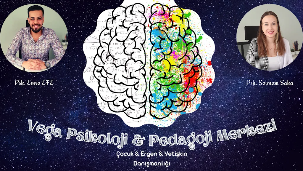 Vega Psikoloji & Pedagoji Merkezi — Psikologlar, Efeler · fotoğraf 1