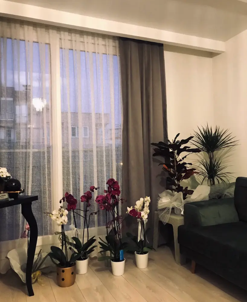 İmago Psikoloji / Uzman Psikolog İrem Onur Akveran — Psikologlar, Efeler · fotoğraf 2