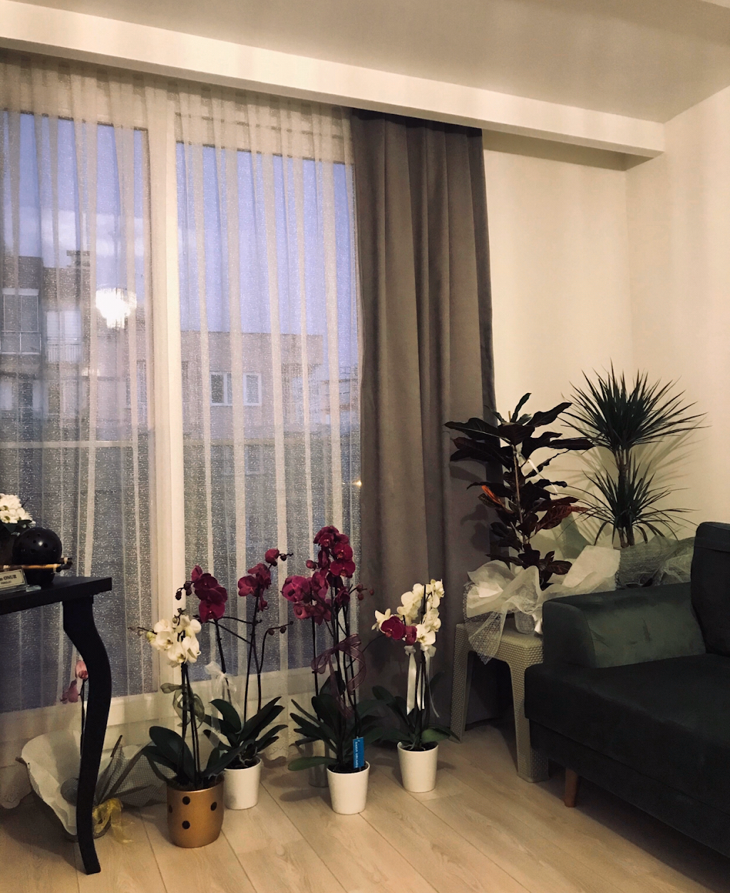 İmago Psikoloji / Uzman Psikolog İrem Onur Akveran