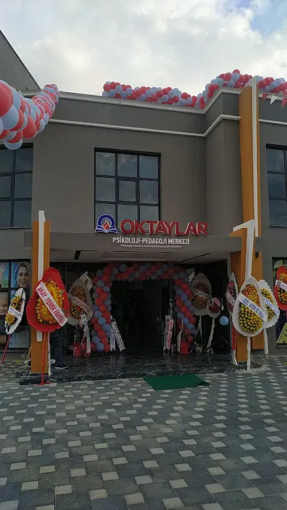 OKTAYLAR PSİKOLOJİ - PEDAGOJİ MERKEZİ — Psikologlar, Efeler · fotoğraf 4