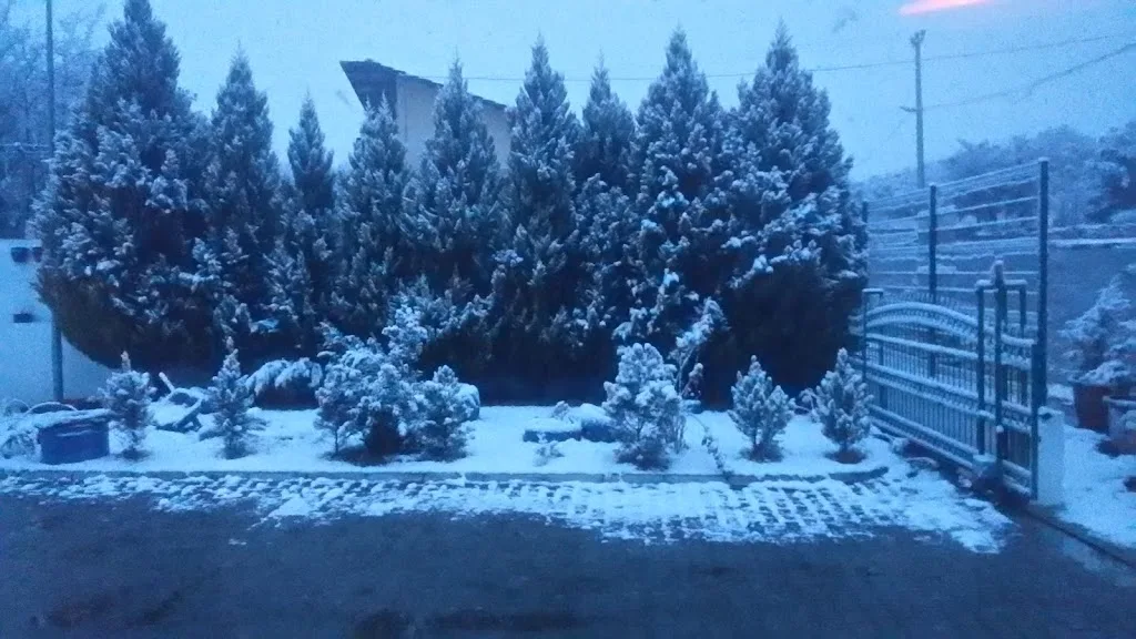 Karacasu Memnune İnci Meslek Yüksekokulu — Psikologlar, Karacasu · fotoğraf 1