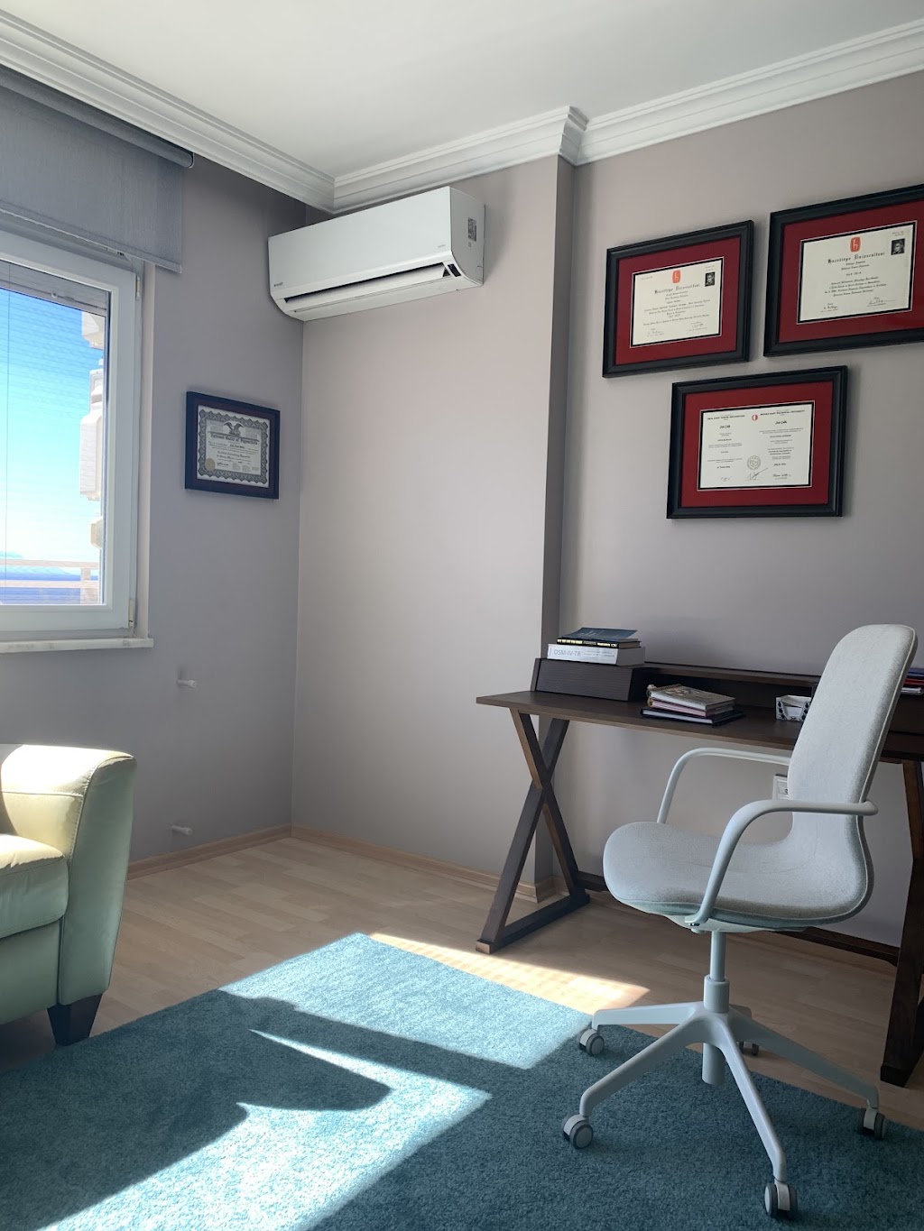 Psikolog Dr. Şule Çelik White Kuşadası & America California Şule Çelik White Ph. D Psychologist Online