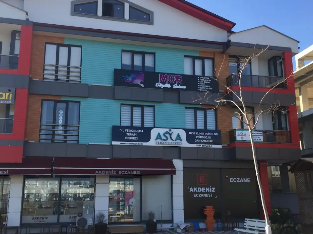 Asya Terapi Merkezi - Balıkesir Dil Konuşma Özel Eğitim — Psikologlar, Karesi · fotoğraf 4