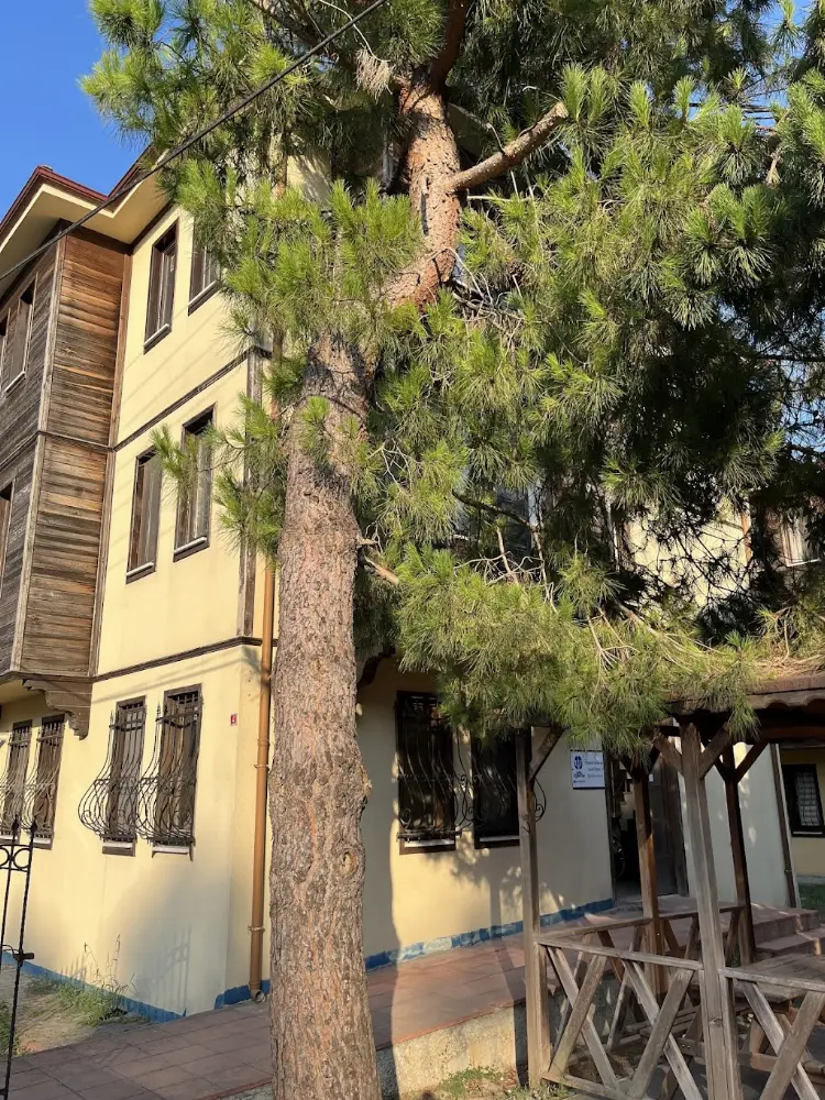 Psiko Öğrenme Bartın Eğitim ve Psikolojik Danışmanlık Merkezi — Psikologlar, Merkez · fotoğraf 3