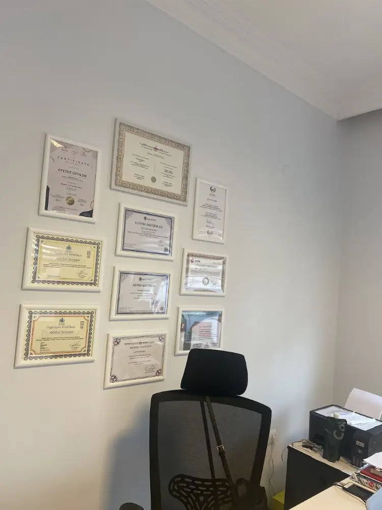 Klinik Psikolog Ayyüce Özyıldız Bartın Özel Sağlık Meslek Hizmet Birimi — Psikologlar, Merkez · fotoğraf 3