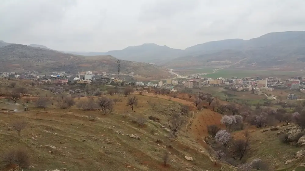 Gerçüş Kaymakamlığı — Psikologlar, Gercüş · fotoğraf 4