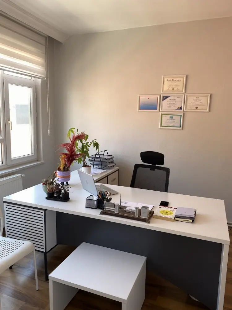 Sense Kids Ergoterapi ve Gelişim Merkezi — Psikologlar, Merkez · fotoğraf 2