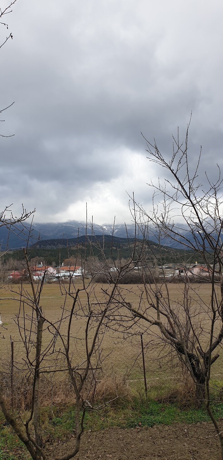 Özel Erişken Özel Eğitim ve Rehabilitasyon Merkezi — Psikologlar, Mudurnu · fotoğraf 1