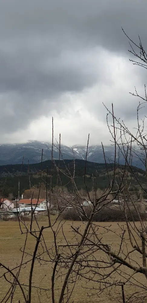 Özel Erişken Özel Eğitim ve Rehabilitasyon Merkezi — Psikologlar, Mudurnu · fotoğraf 3