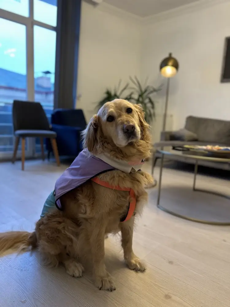 Klinik Psikolog Caner Kaya — Psikologlar, Merkez · fotoğraf 3