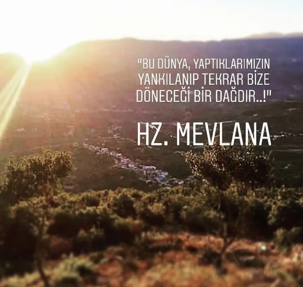 Konya Psikolog - OPTİMUM PSİKOLOJİ — Psikologlar, Kemer · fotoğraf 2
