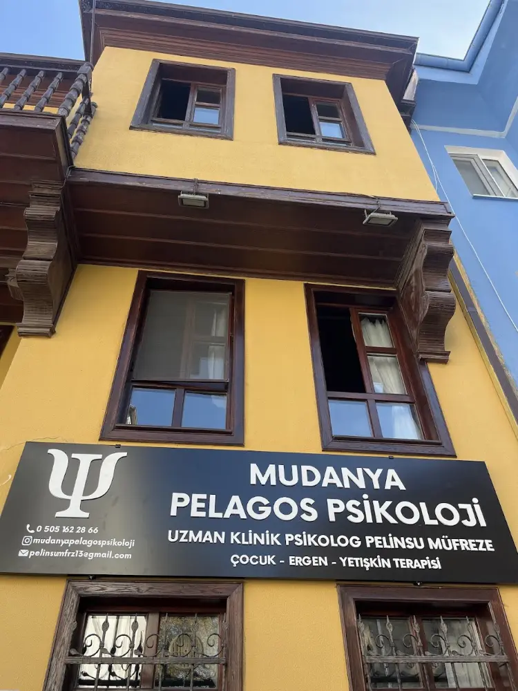 Mudanya Pelagos Psikoloji — Psikologlar, Mudanya · fotoğraf 2