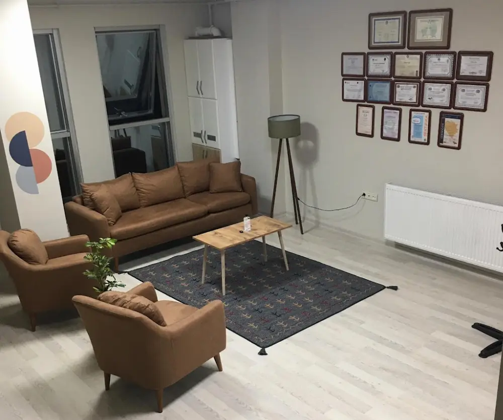 TEMENOS PSİKOLOJİ MERKEZİ — Psikologlar, Nilüfer · fotoğraf 2