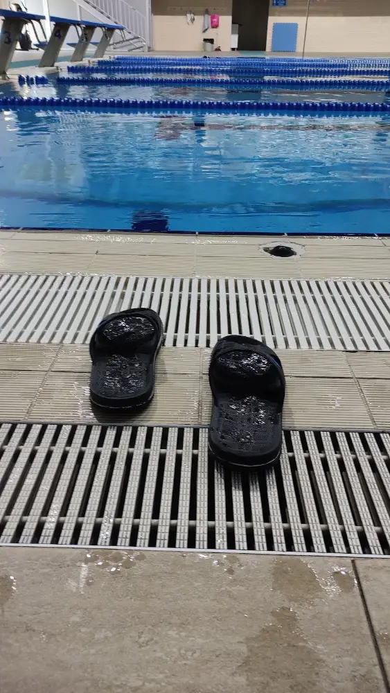 Muğla Valiliği Gençlik Spor İl Müdürlüğü Kışla Yüzme Havuzu — Yüzme Havuzları · fotoğraf 3