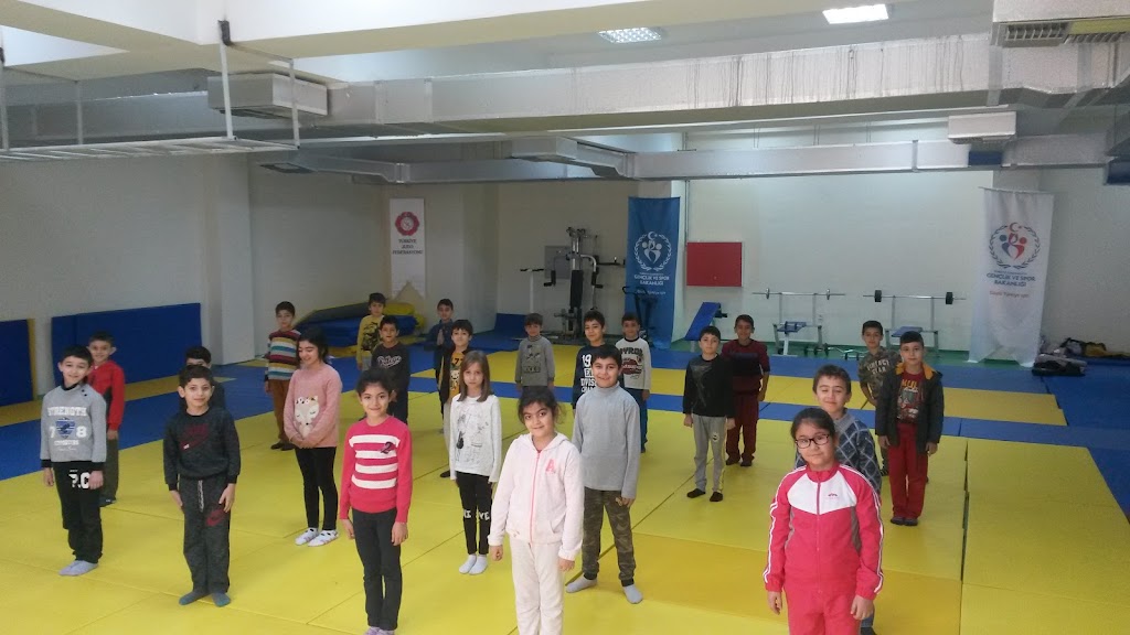 Mardin Artuklu Yarı Olimpik Yüzme Havuzu