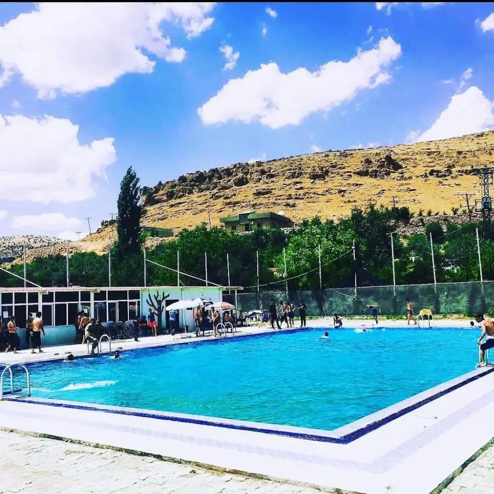Aslanlar yüzme havuzu — Yüzme Havuzları, Kızıltepe · fotoğraf 2