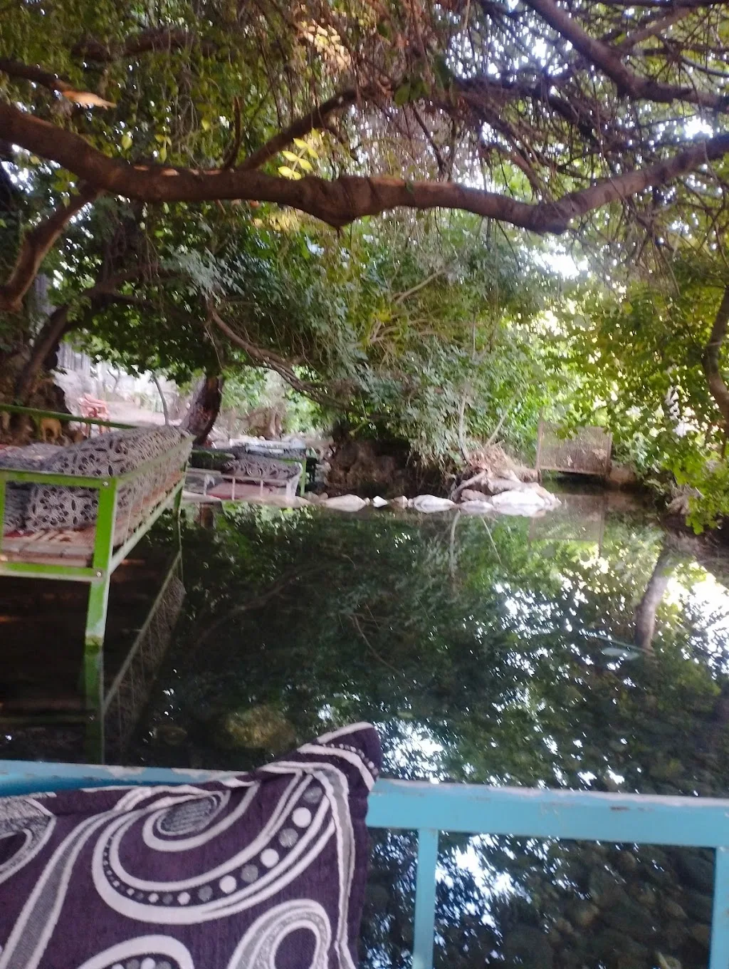 Aslanlar tesisleri — Yüzme Havuzları, Artuklu · fotoğraf 1