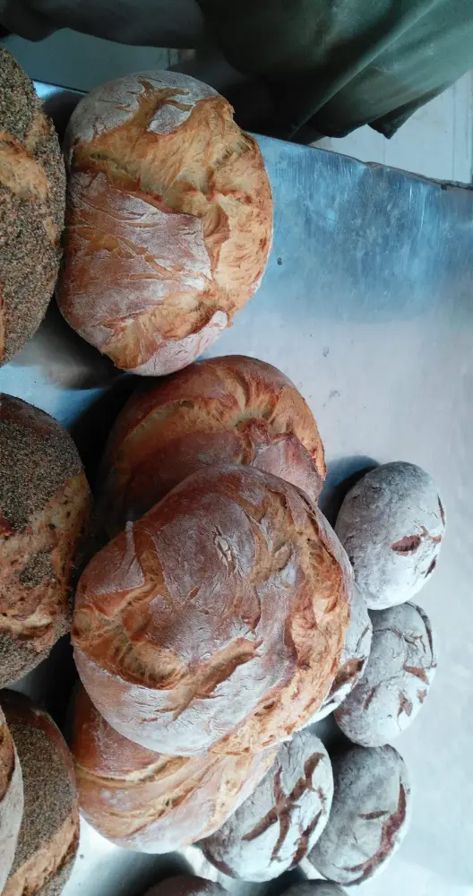 Nurtepe Ekmek & Unlu Mamülleri — Fırınlar, Kağıthane · fotoğraf 4