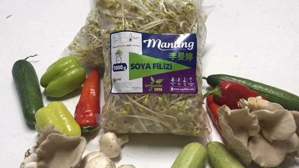 SunStar Gıda & Manting Tofu ve Soya Filizi — Gıda Üreticileri, Kağıthane · fotoğraf 4