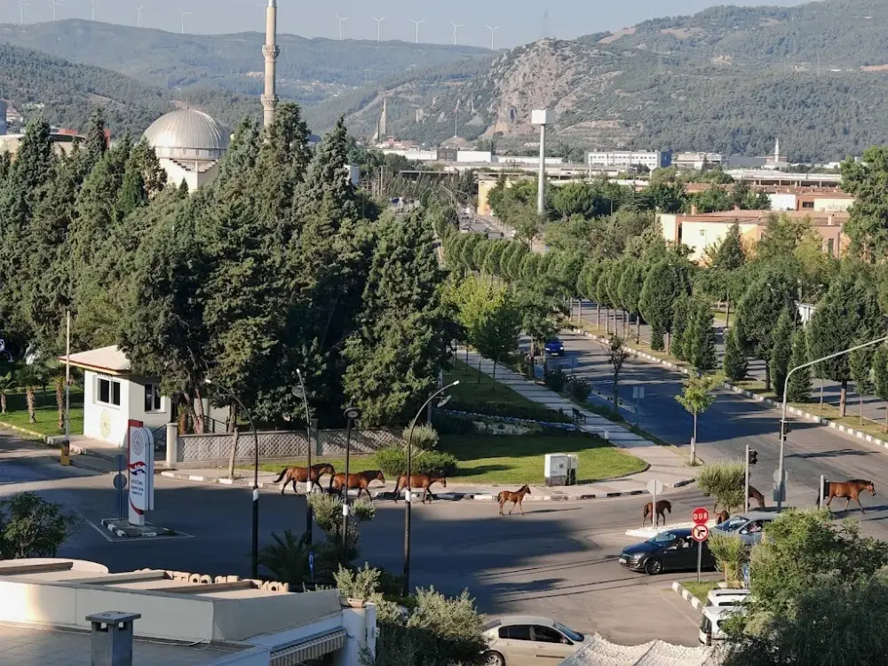 Atatürk Olimpik Spor Kompleksi Okçuluk Sahası — Yüzme Havuzları, Yunusemre · fotoğraf 3