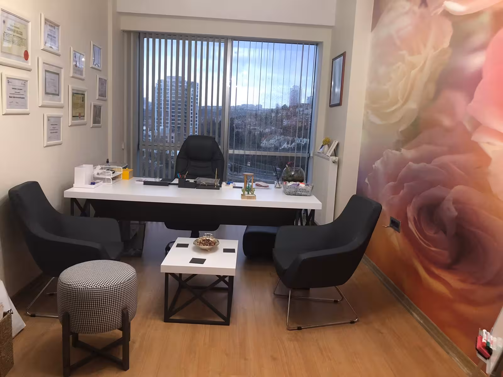 Doç.Dr. Meryem GENCER Kadın Doğum Jinekolog Detaylı Ultrason Vajinismus İdrar Kaçırma Genital Estetik - görsel 3
