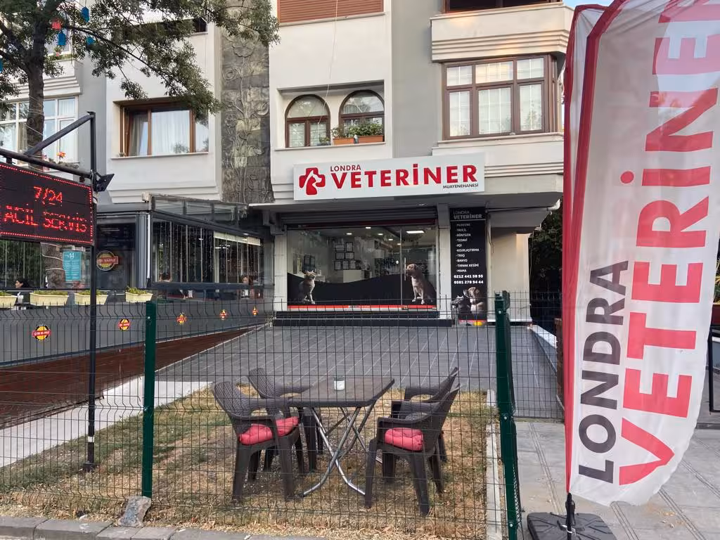 Londra Veteriner Kliniği 7/24 ACİL VETERİNER BAHÇELİEVLER - görsel 1