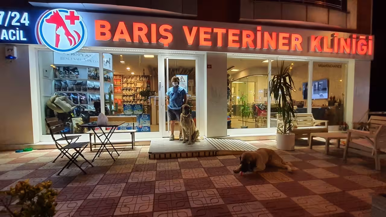 BARIŞ VETERİNER KLİNİĞİ 7/24 ACİL VETERİNER - görsel 1