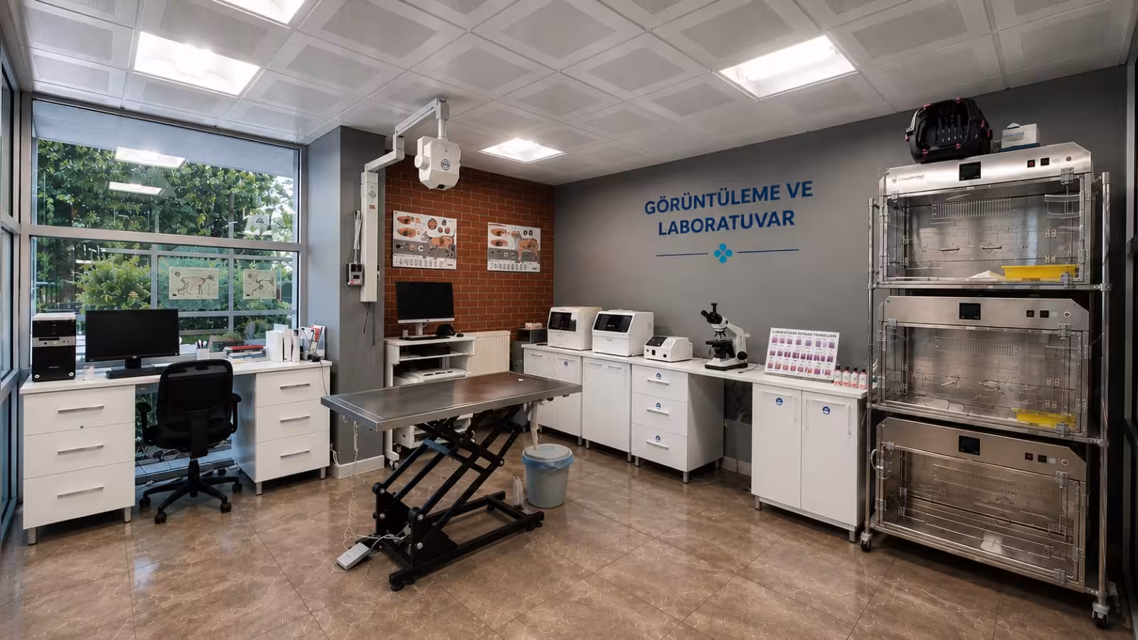 Petalya Veteriner Kliniği Çankaya Birlik - görsel 1