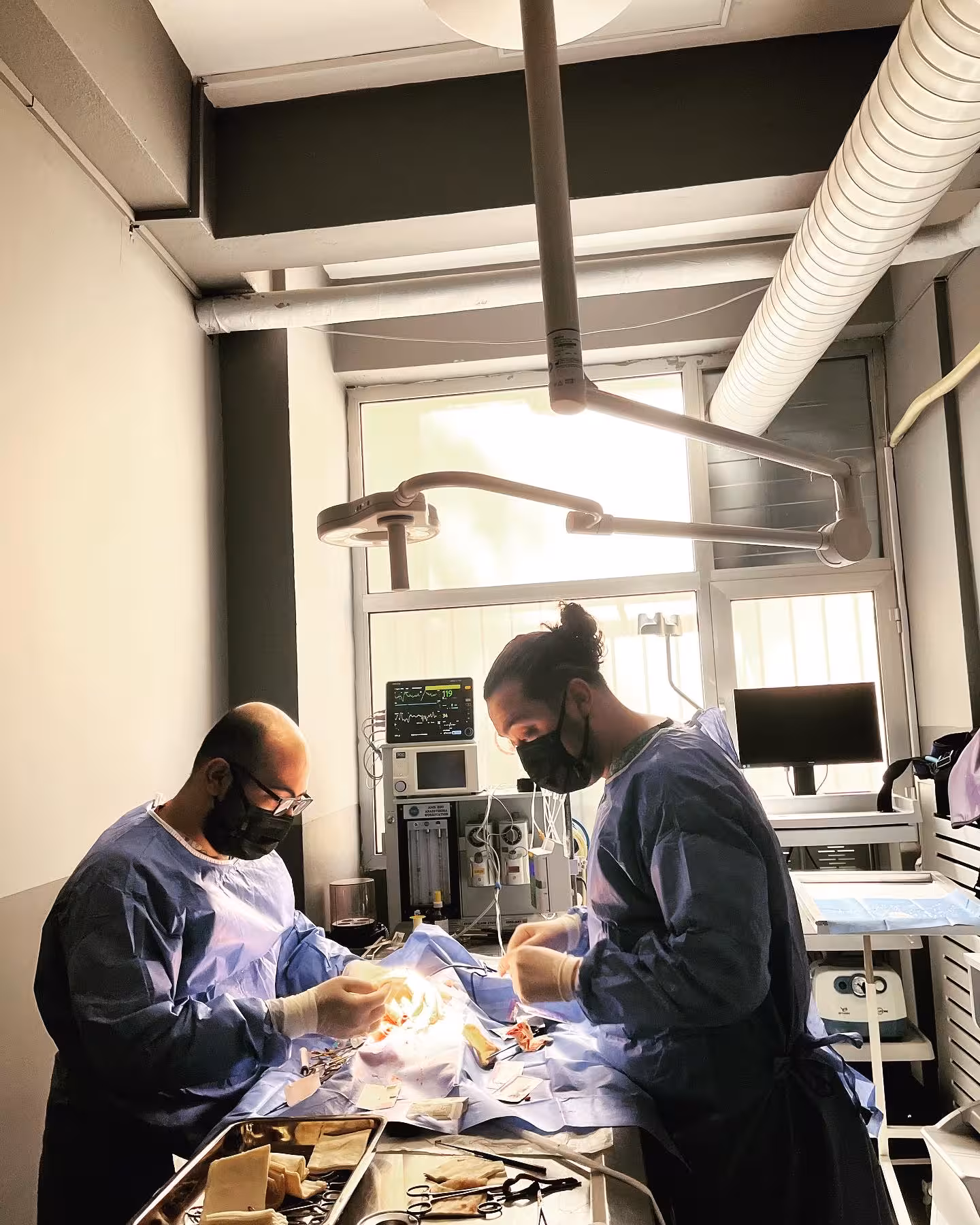 Totem Veteriner Kliniği - görsel 3