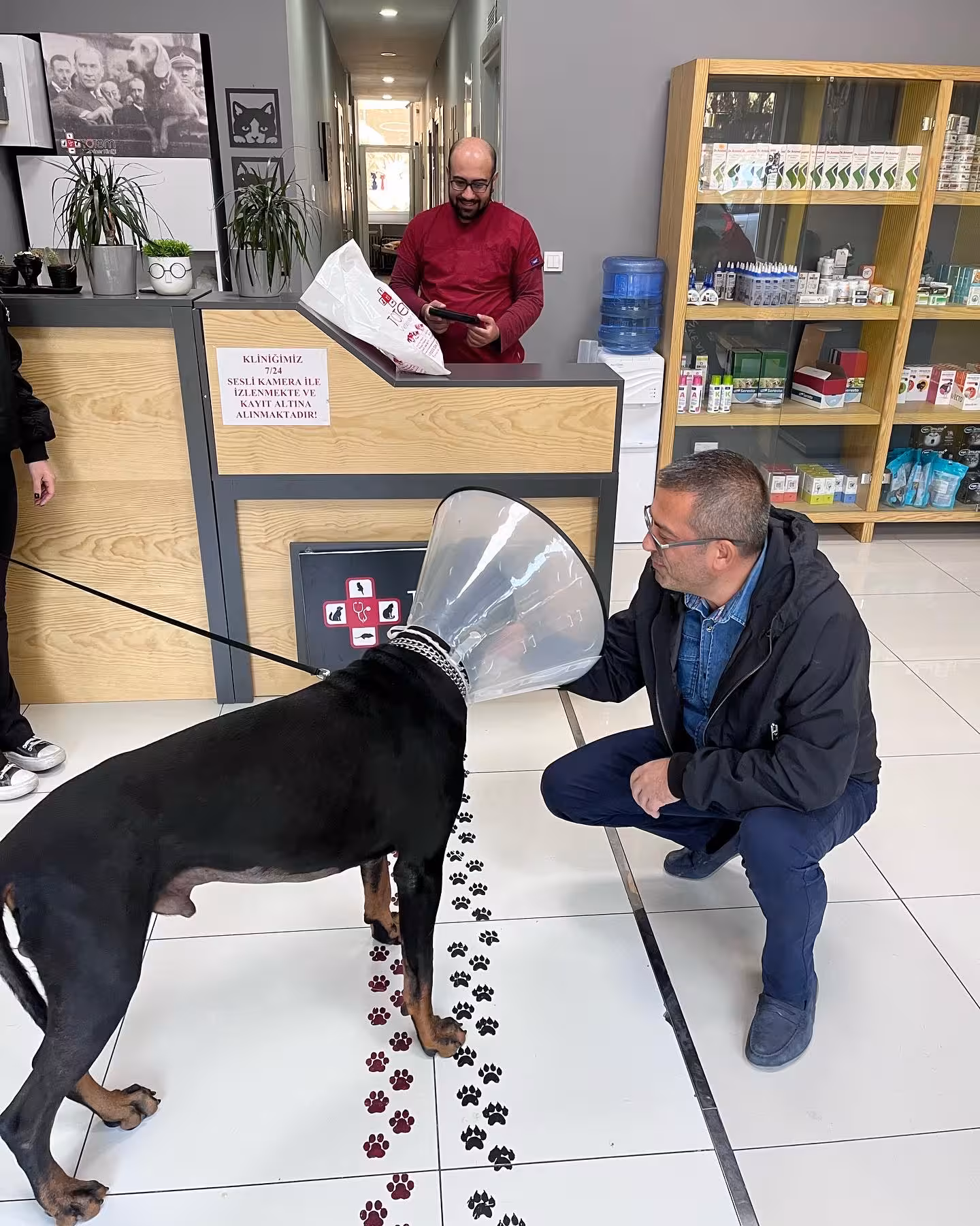 Totem Veteriner Kliniği - görsel 5