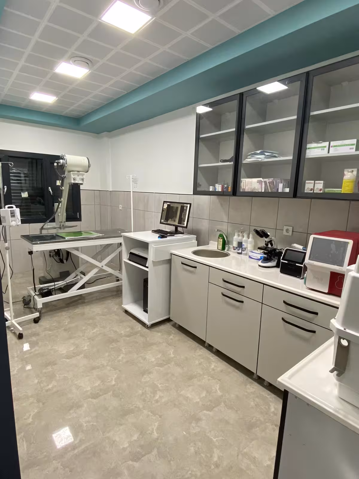 Vosvet Veteriner Kliniği - görsel 3