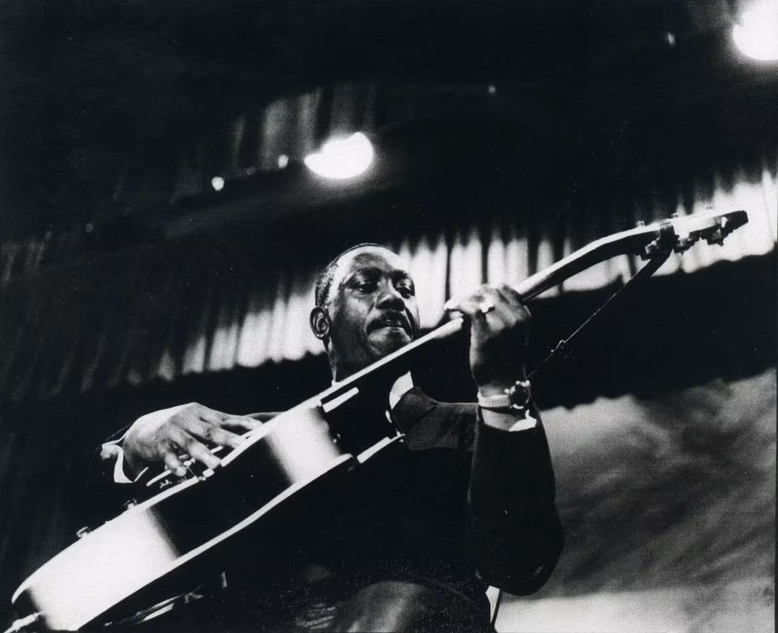 The Muddy Waters - görsel 3