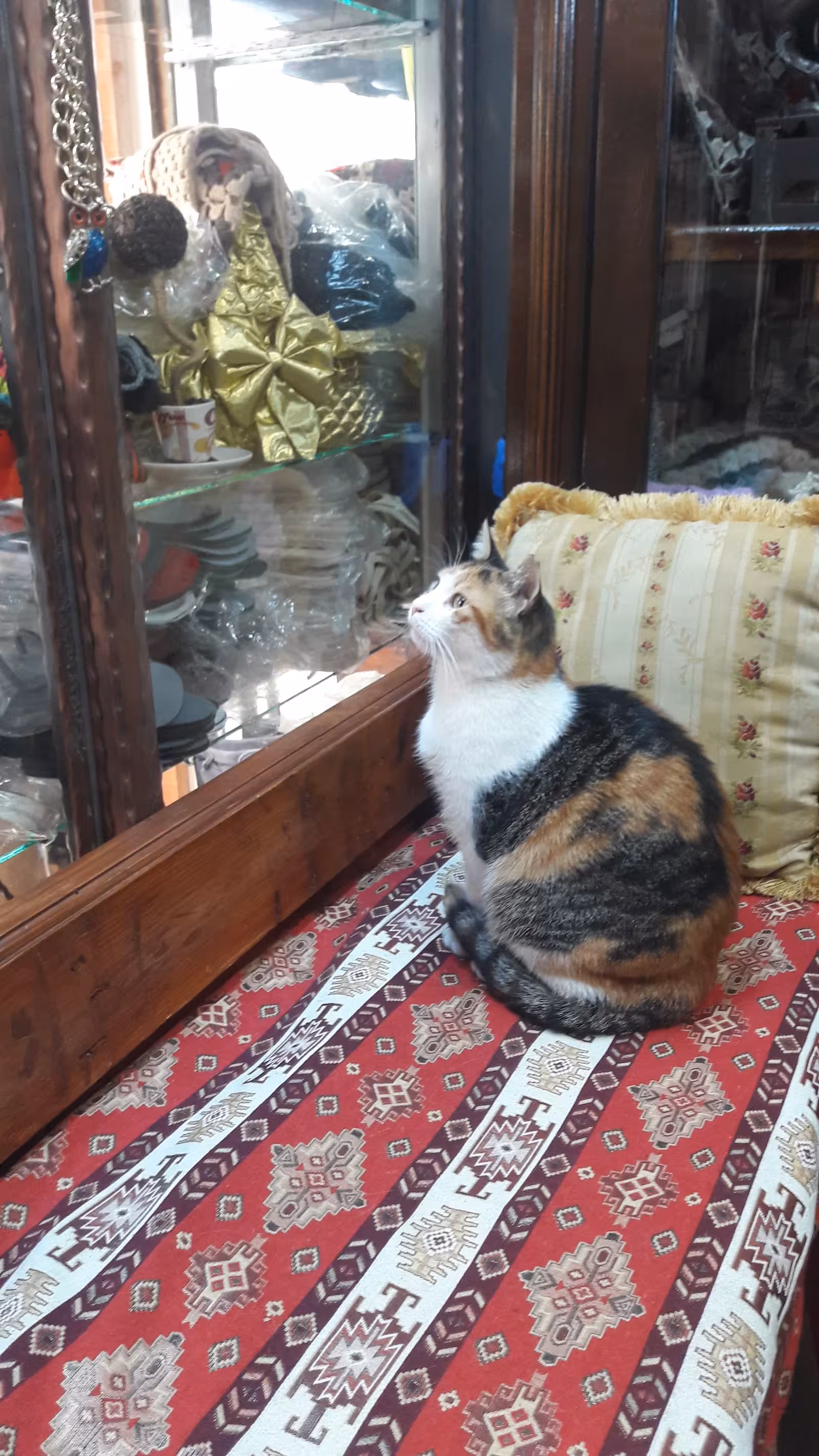 Malkoçoğlu Kunduraları Ayakkabı Ve Çanta Tamiri Yapılır - görsel 4