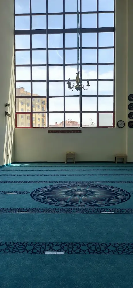 Yarı Olimpik Kapalı Yüzme Havuzu — Yüzme Havuzları, Merkez · fotoğraf 4