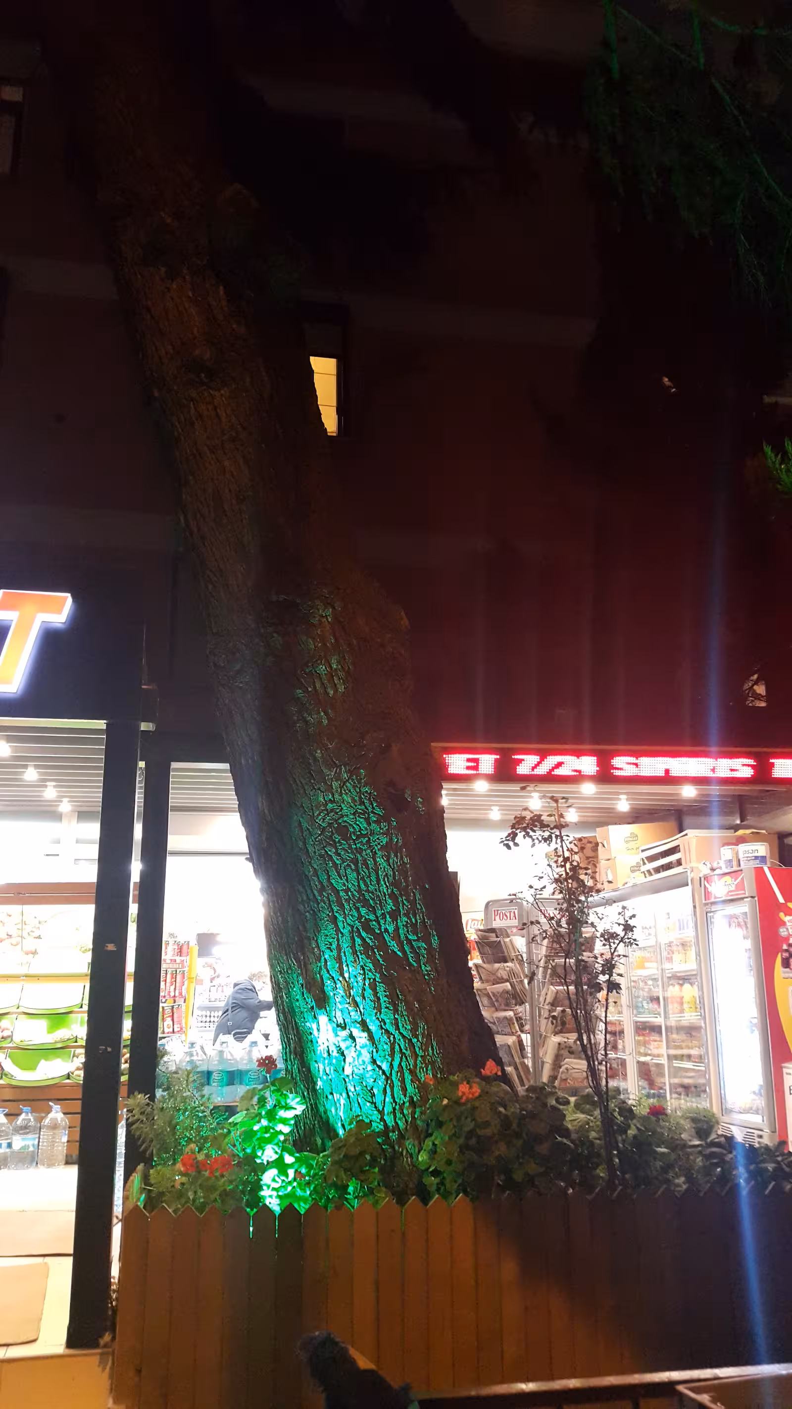 Olcay Süpermarket Şarküteri Manav - görsel 1