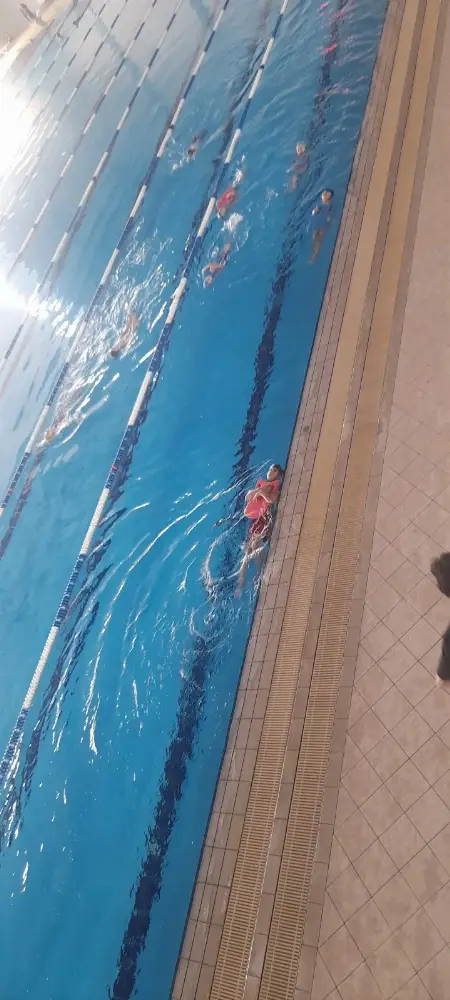 Galaksi Olimpik Yüzme Havuzu - Kampüs — Yüzme Havuzları, Selçuklu · fotoğraf 4